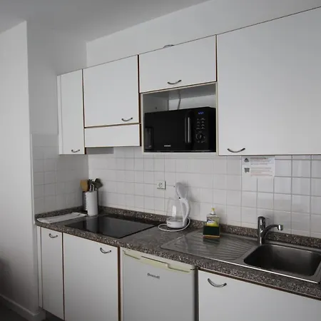 Monte Carlo Terrace Monaco Appartement